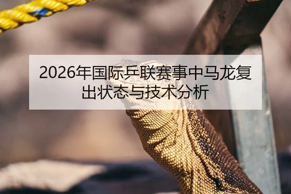 2026年国际乒联赛事中马龙复出状态与技术分析