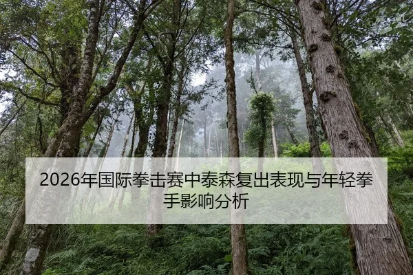 2026年国际拳击赛中泰森复出表现与年轻拳手影响分析