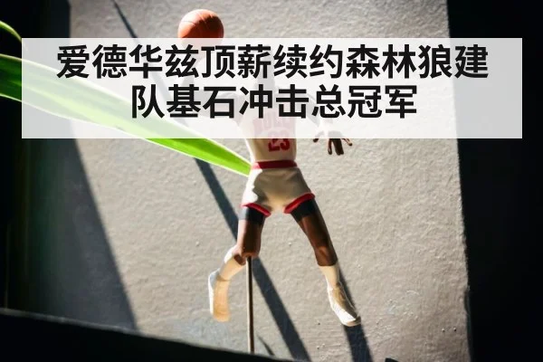 爱德华兹顶薪续约森林狼建队基石冲击总冠军